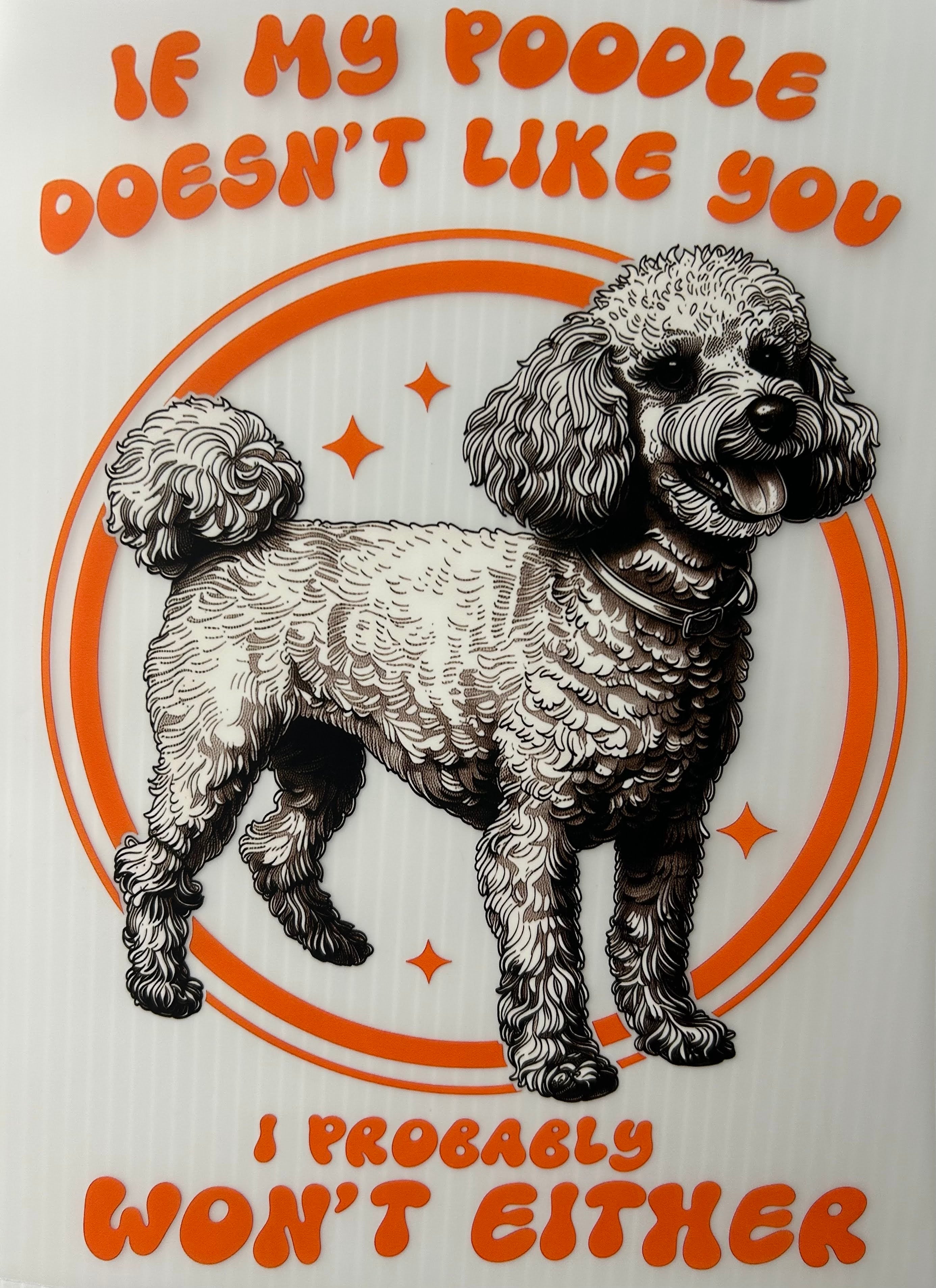 Poodle doesn’t like you
