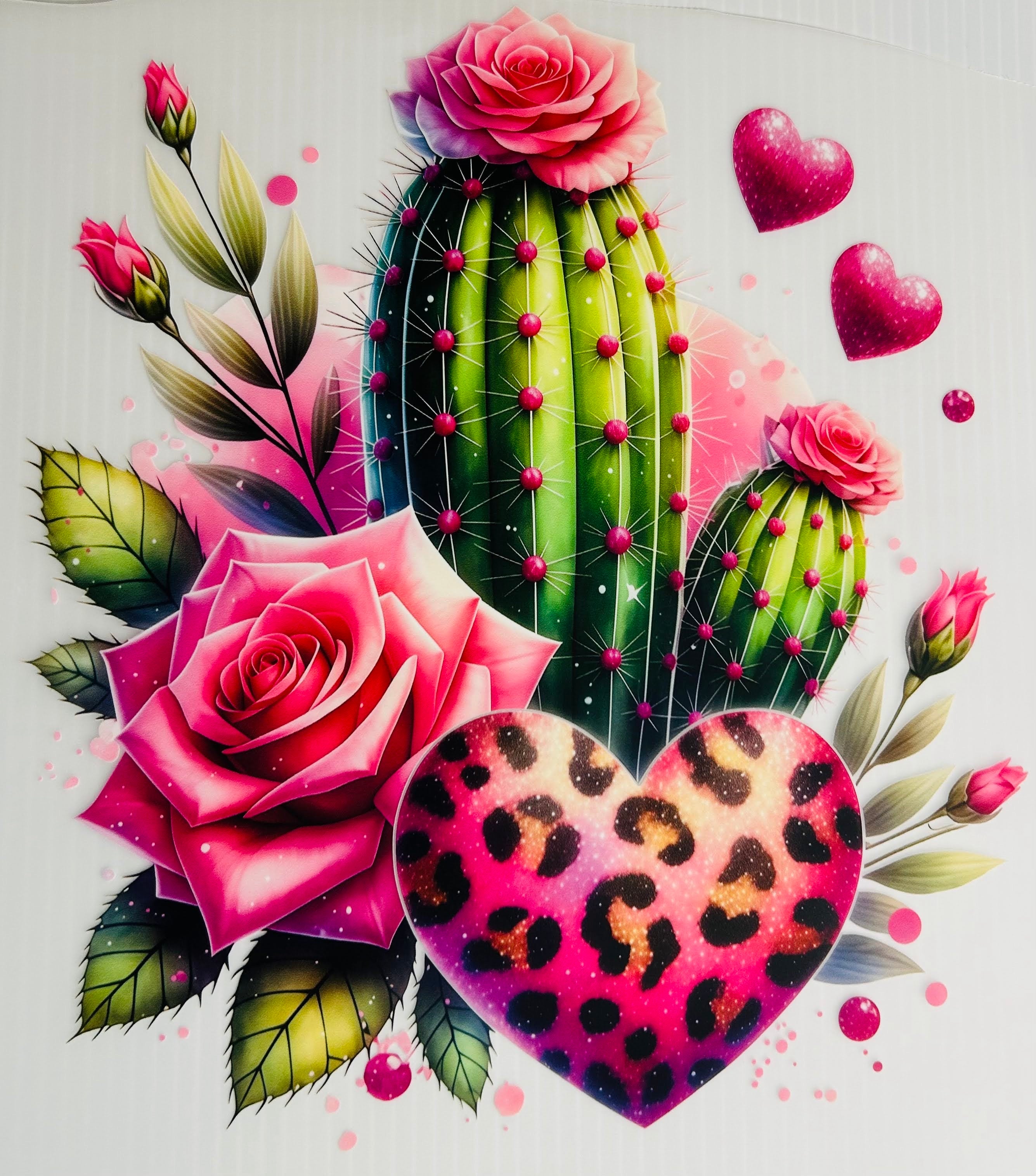 Pink leopard heart cactus
