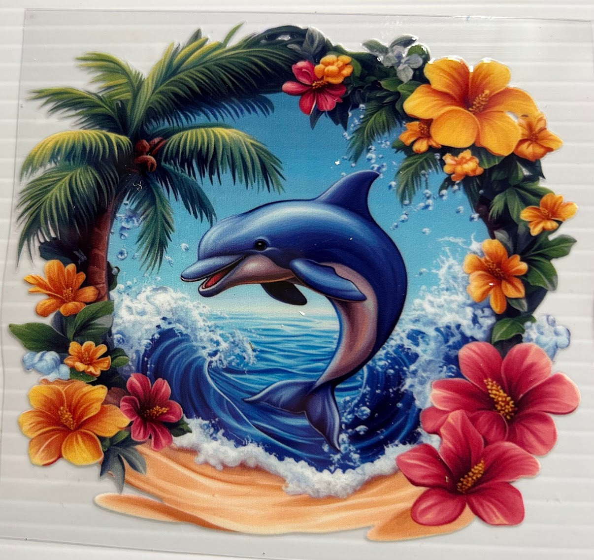 Dolphin