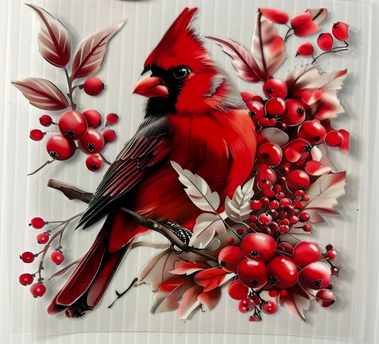Cardinal