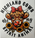 Highland cows are my spirit animal