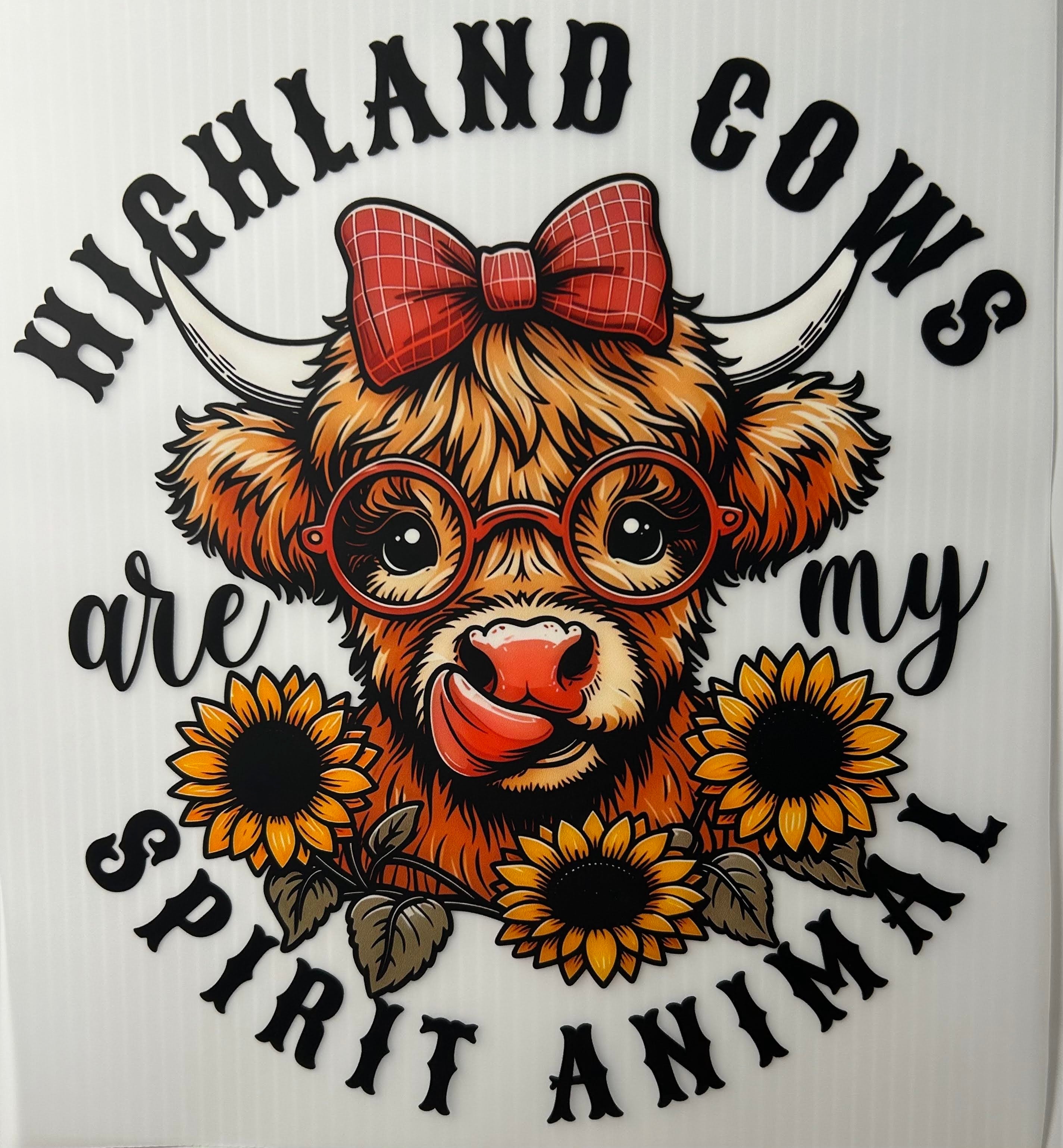Highland cows are my spirit animal