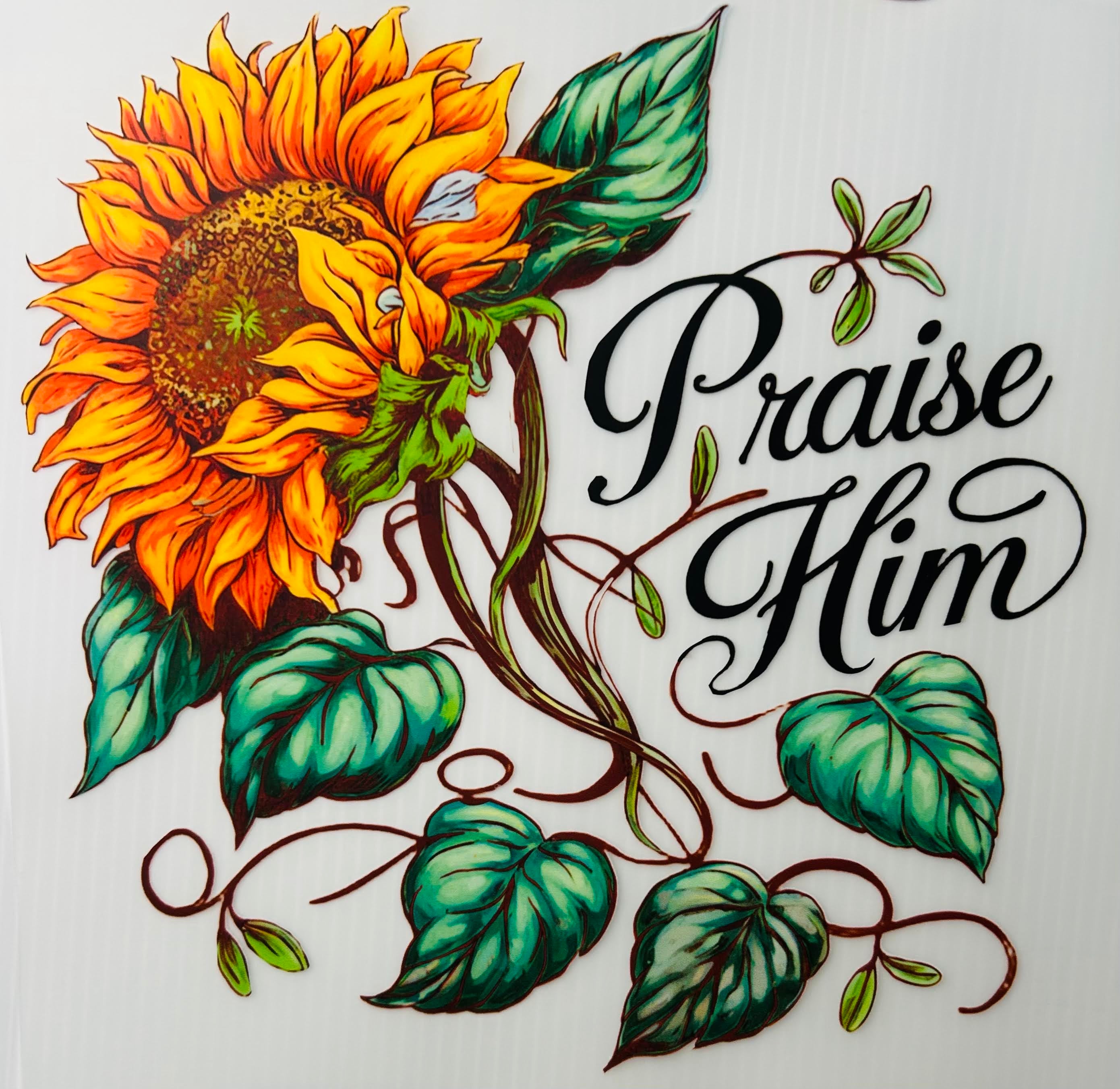 Praise him