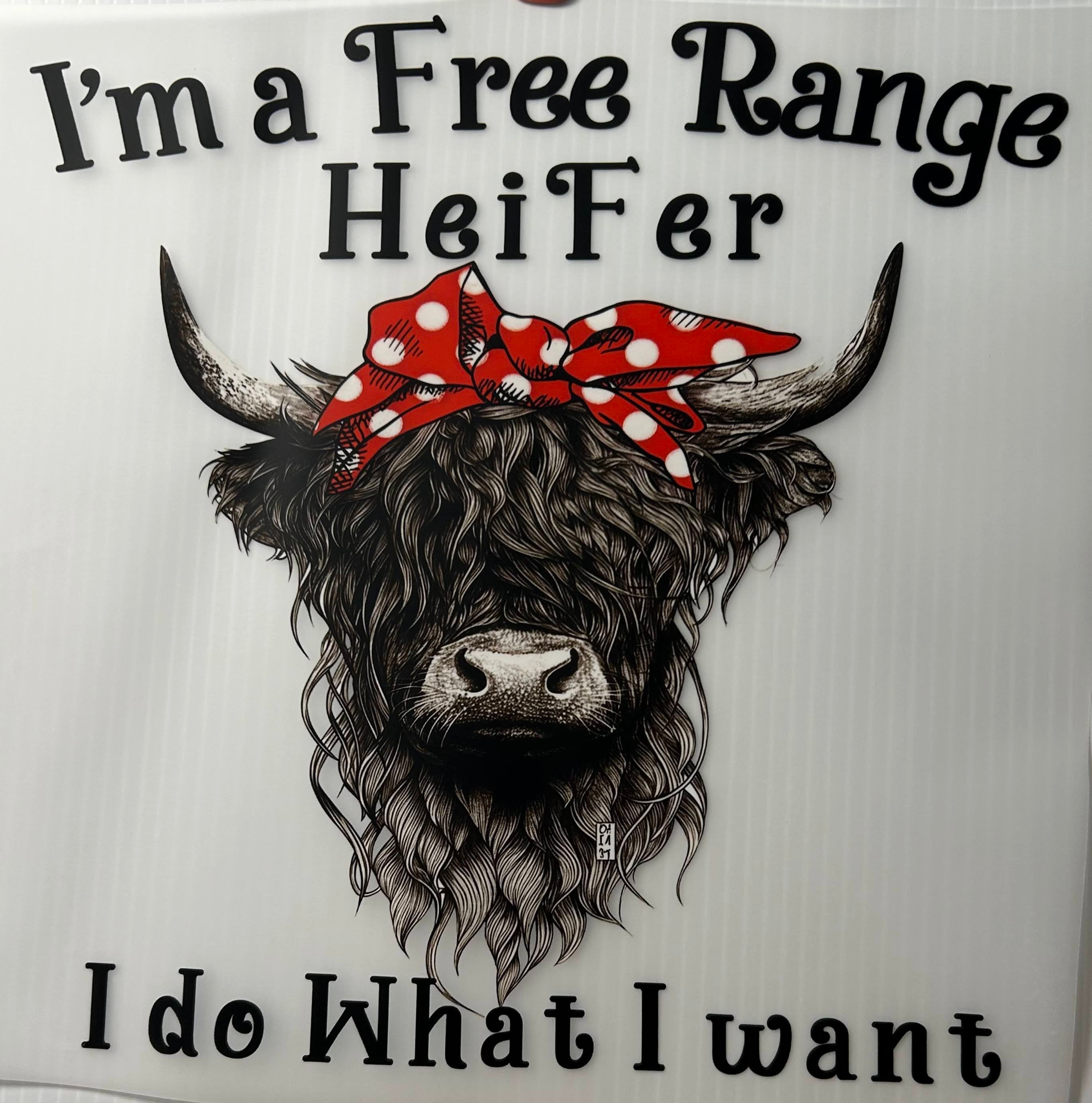 Free range heifer