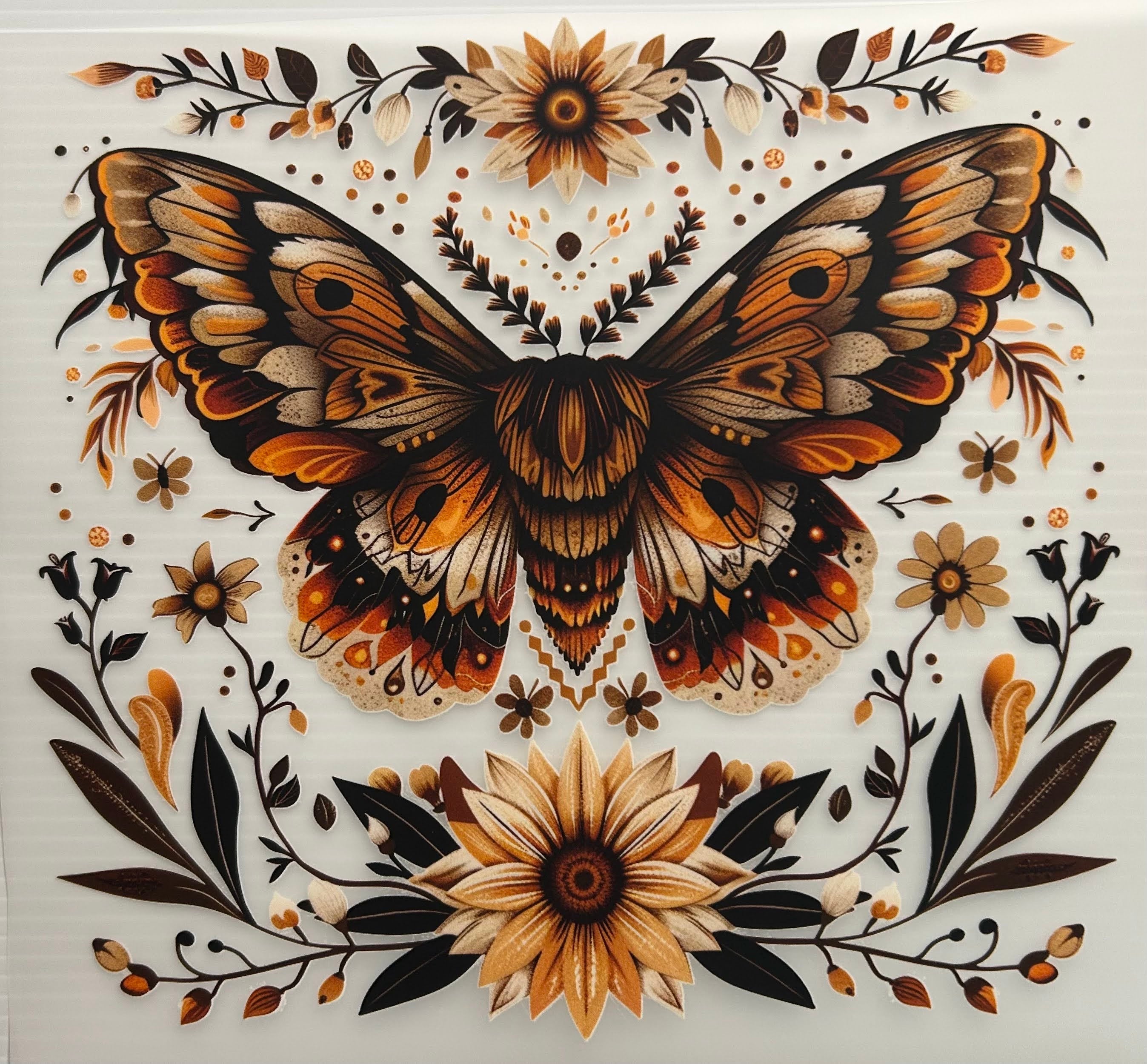 Brown butterfly