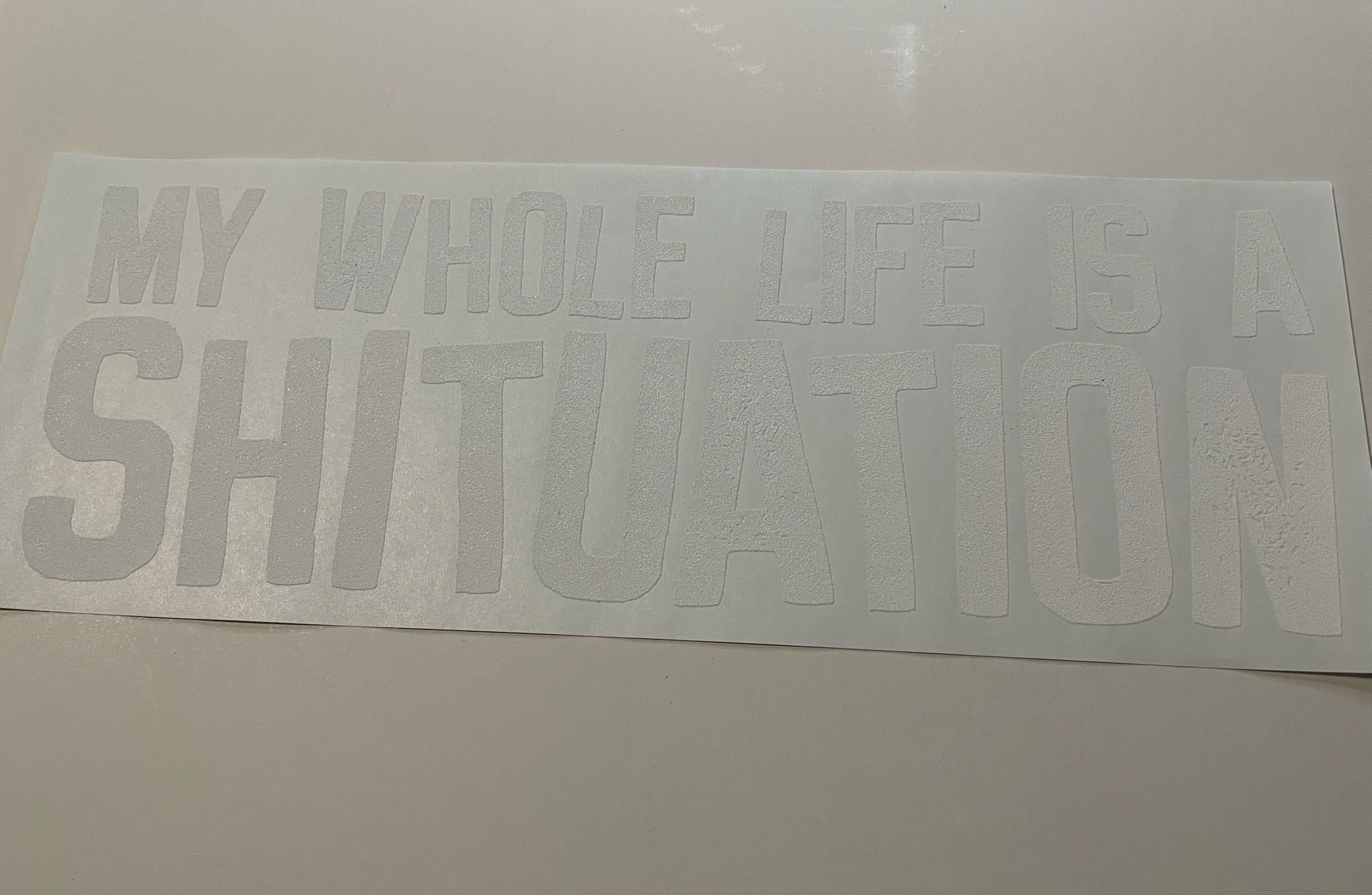 Life Is A Shituation