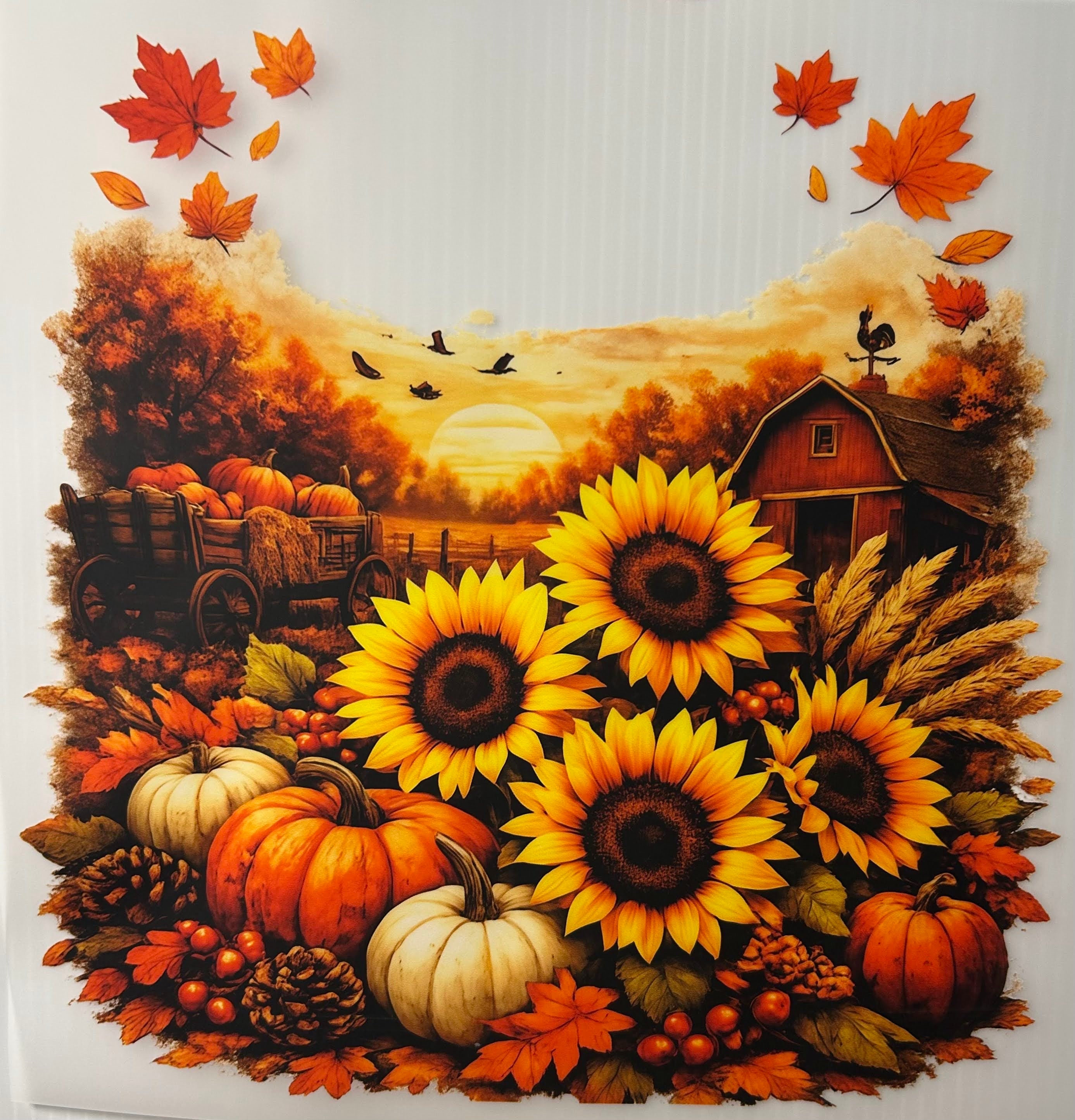 Autumn pumpkins & sunflowers