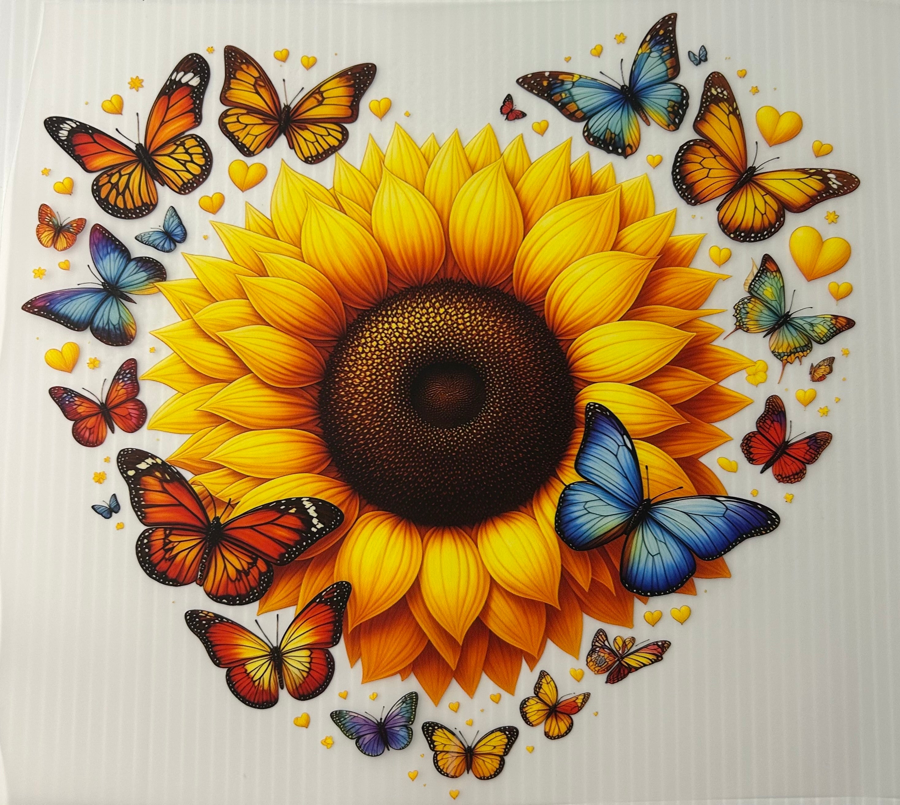 Sunflower Butterflies
