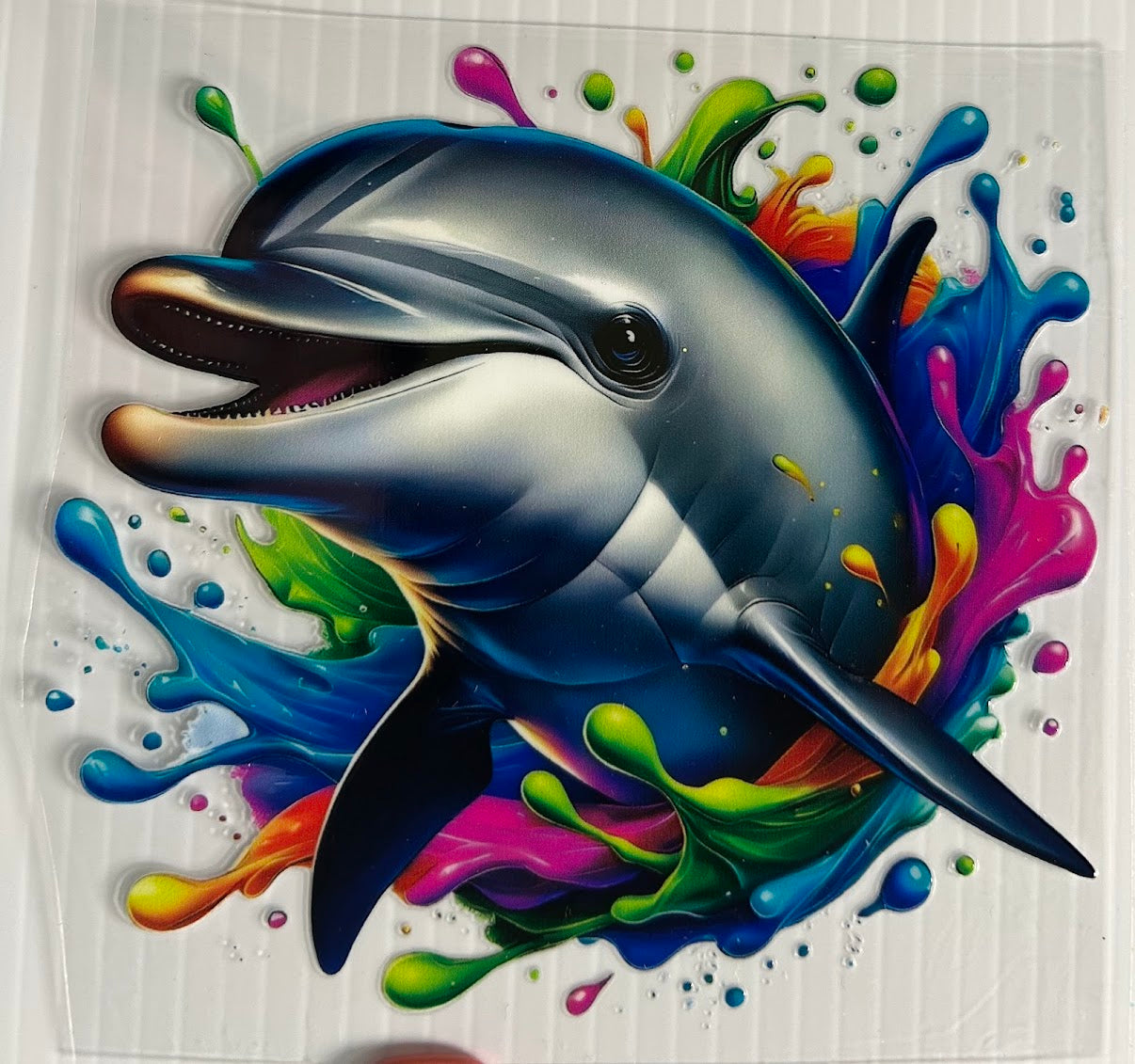 Dolphin