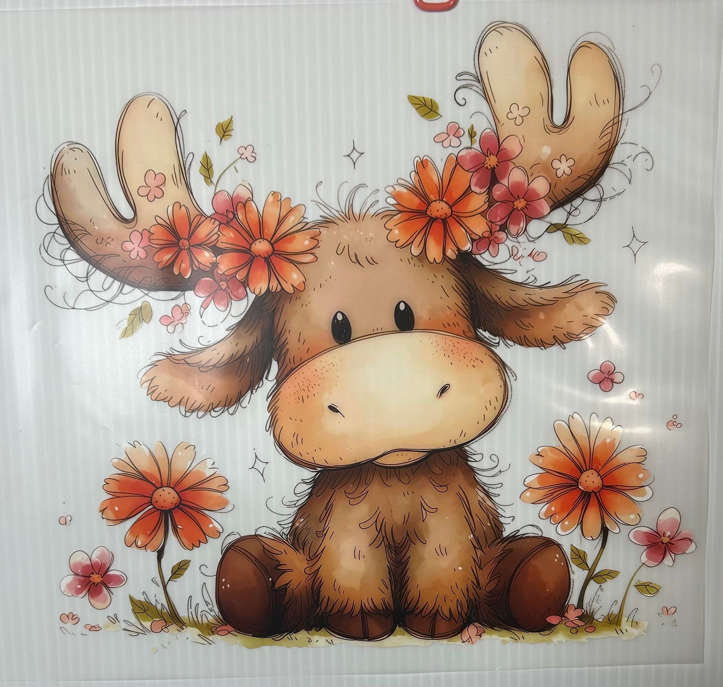 Cute moose