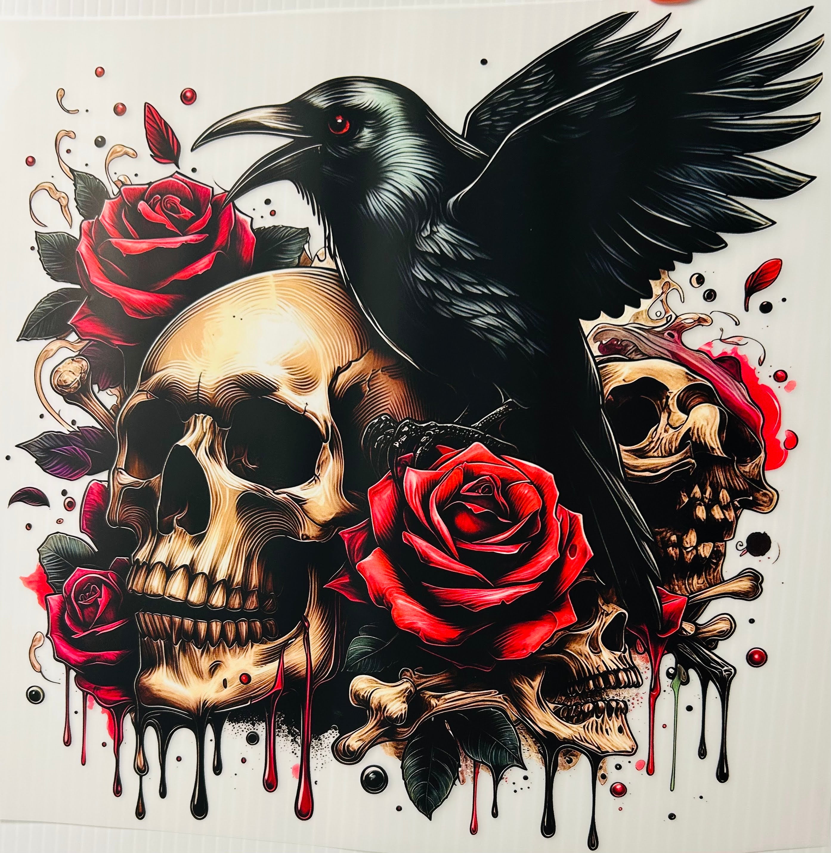 Crow & skull