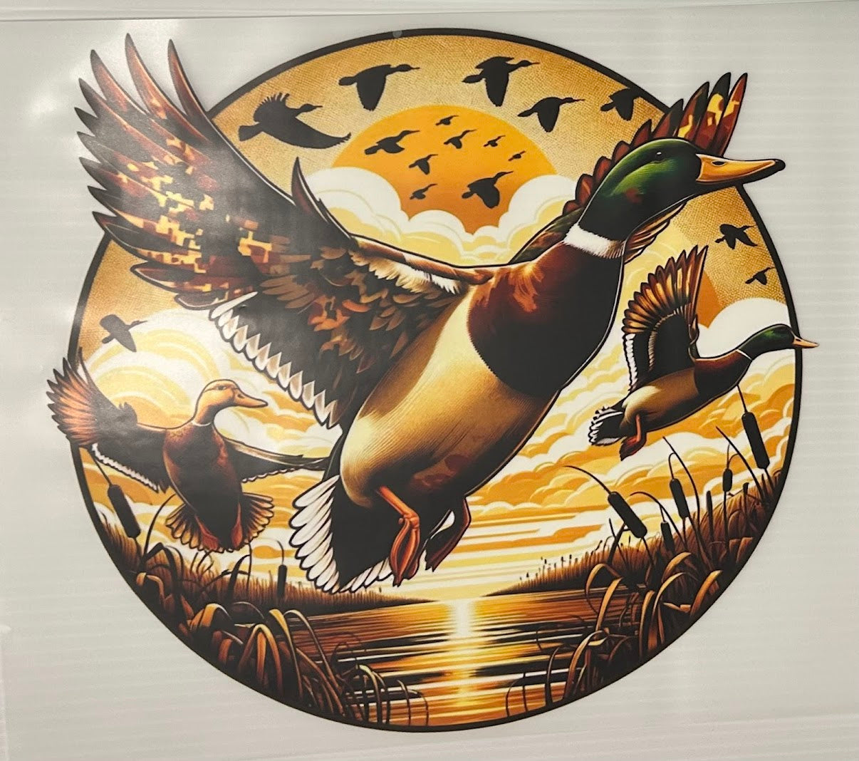 Hunting Duck