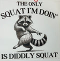Diddly squat