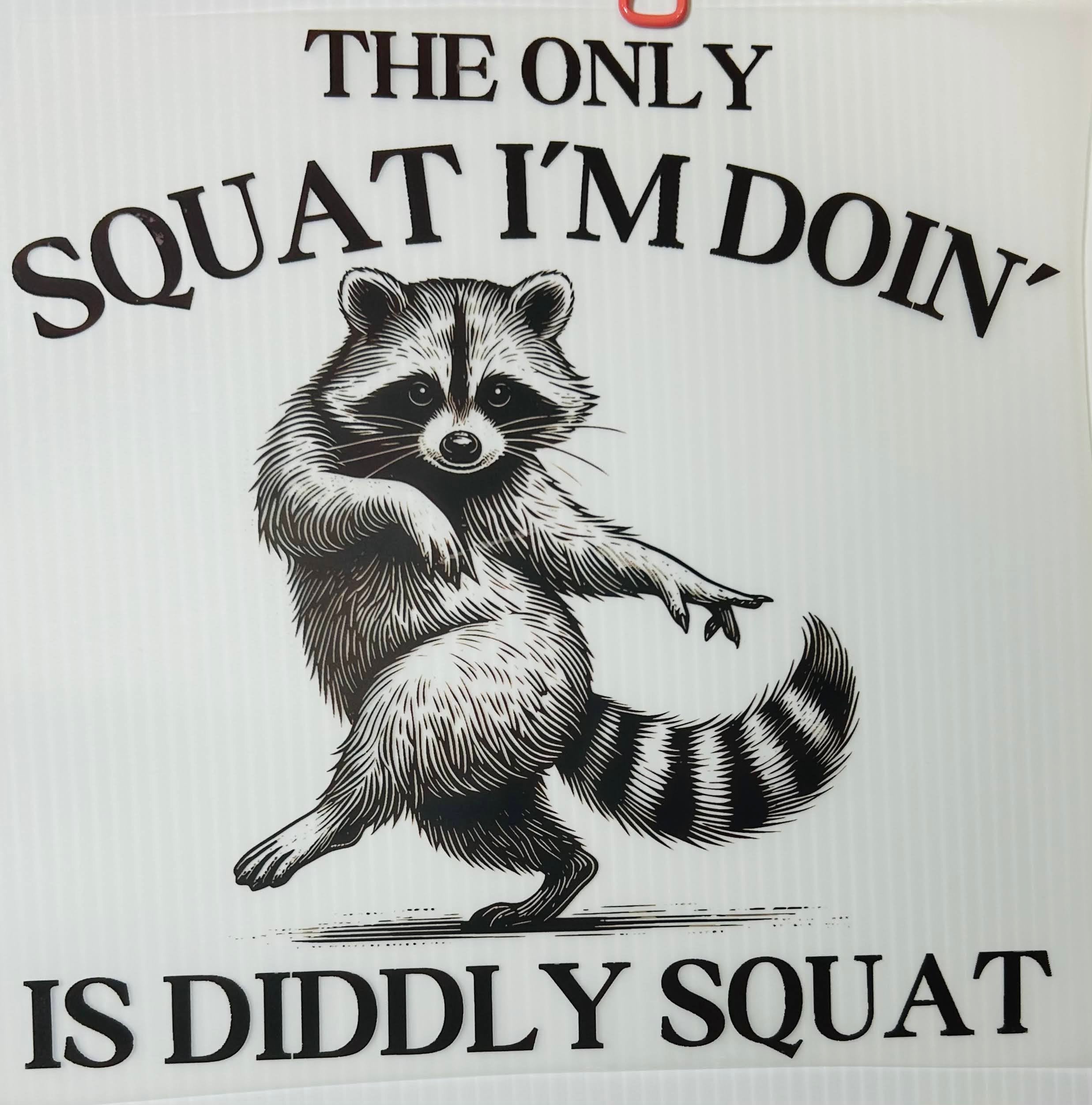 Diddly squat