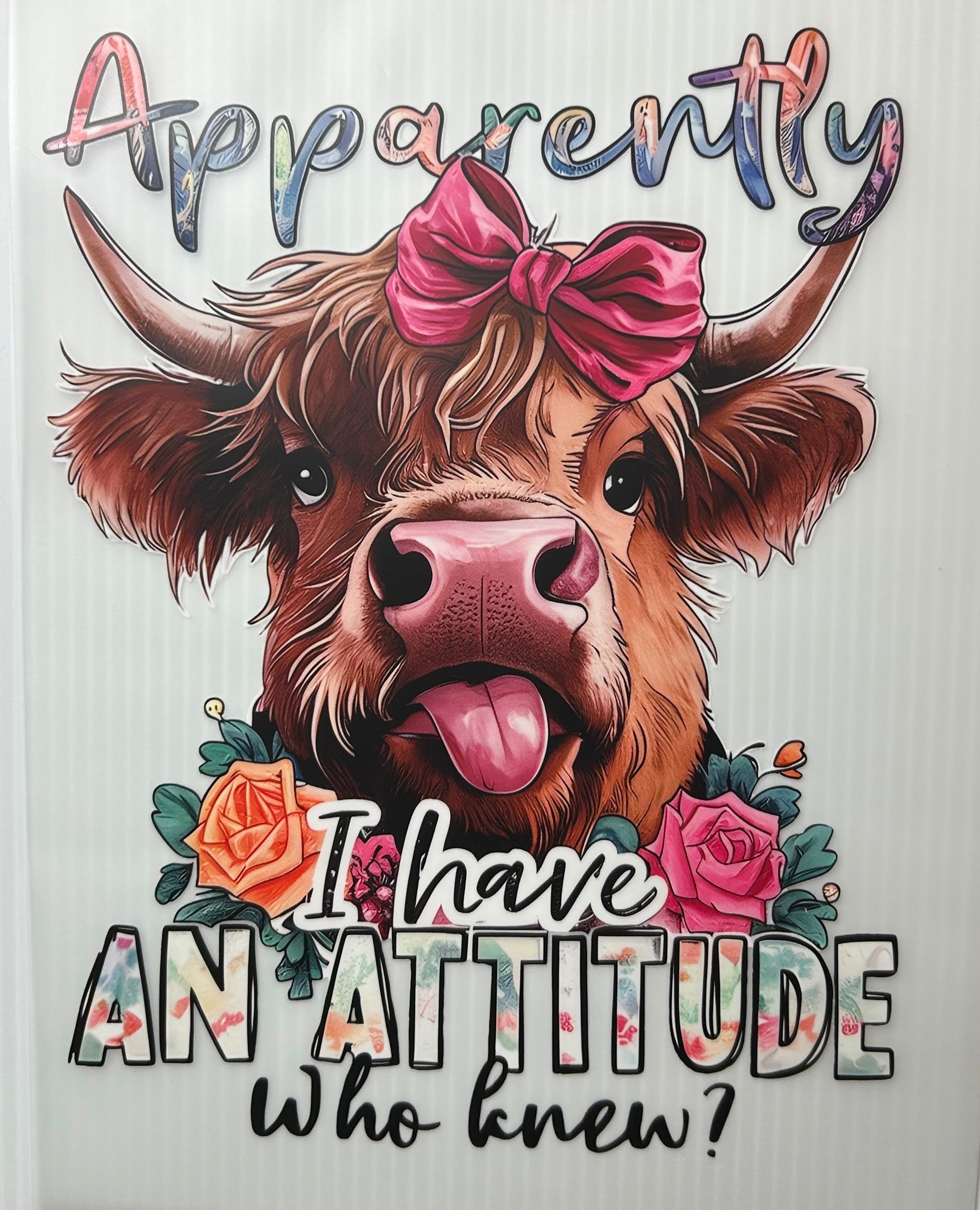 I have an attitude who knew?