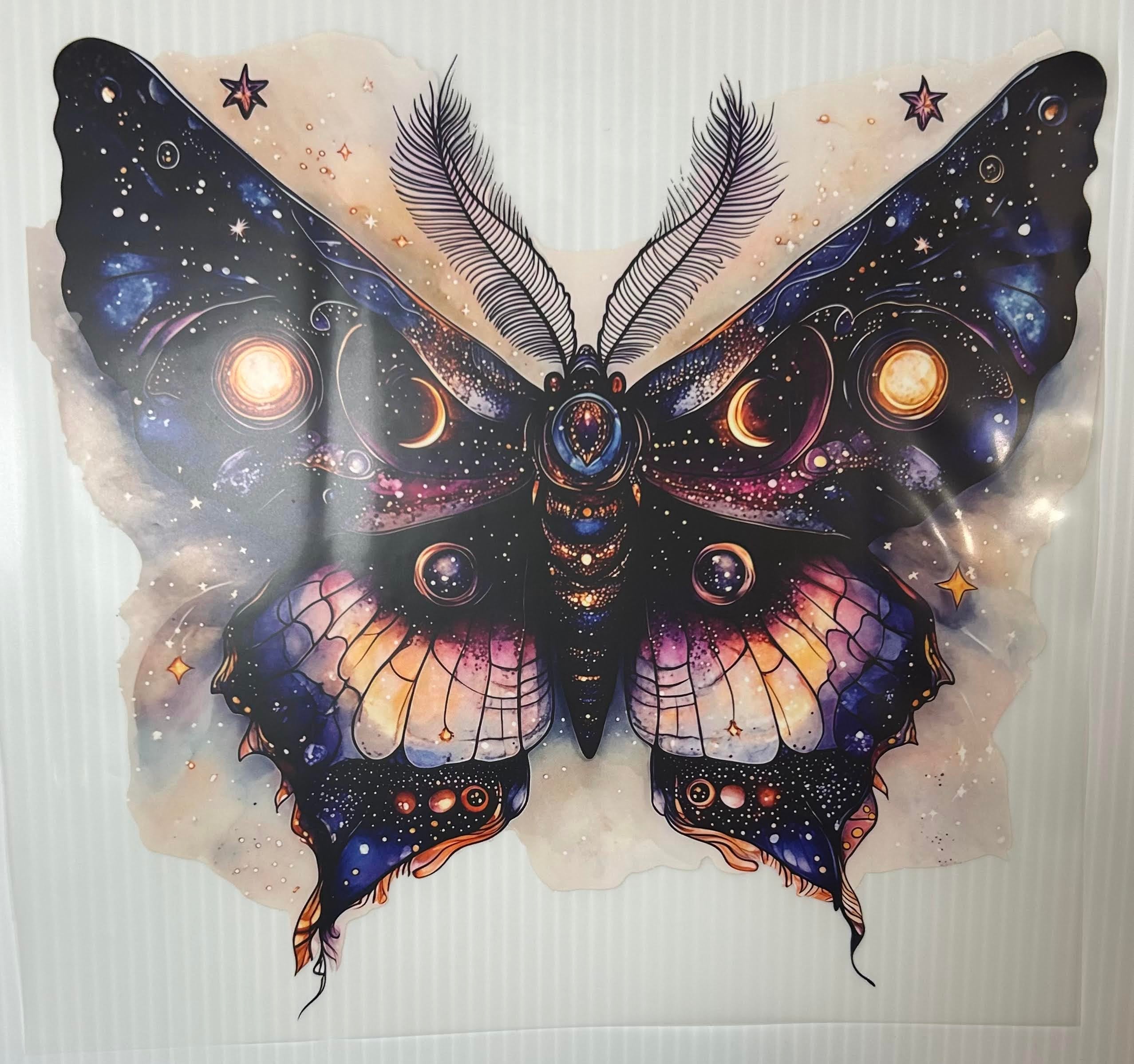 Lunar moth