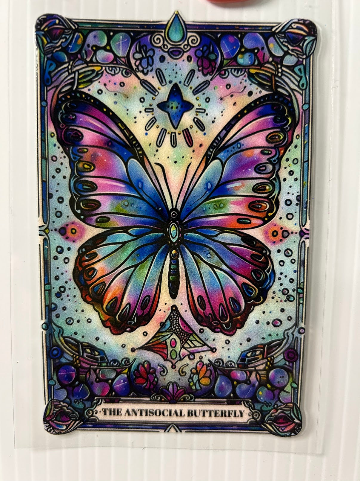 Antisocial butterfly