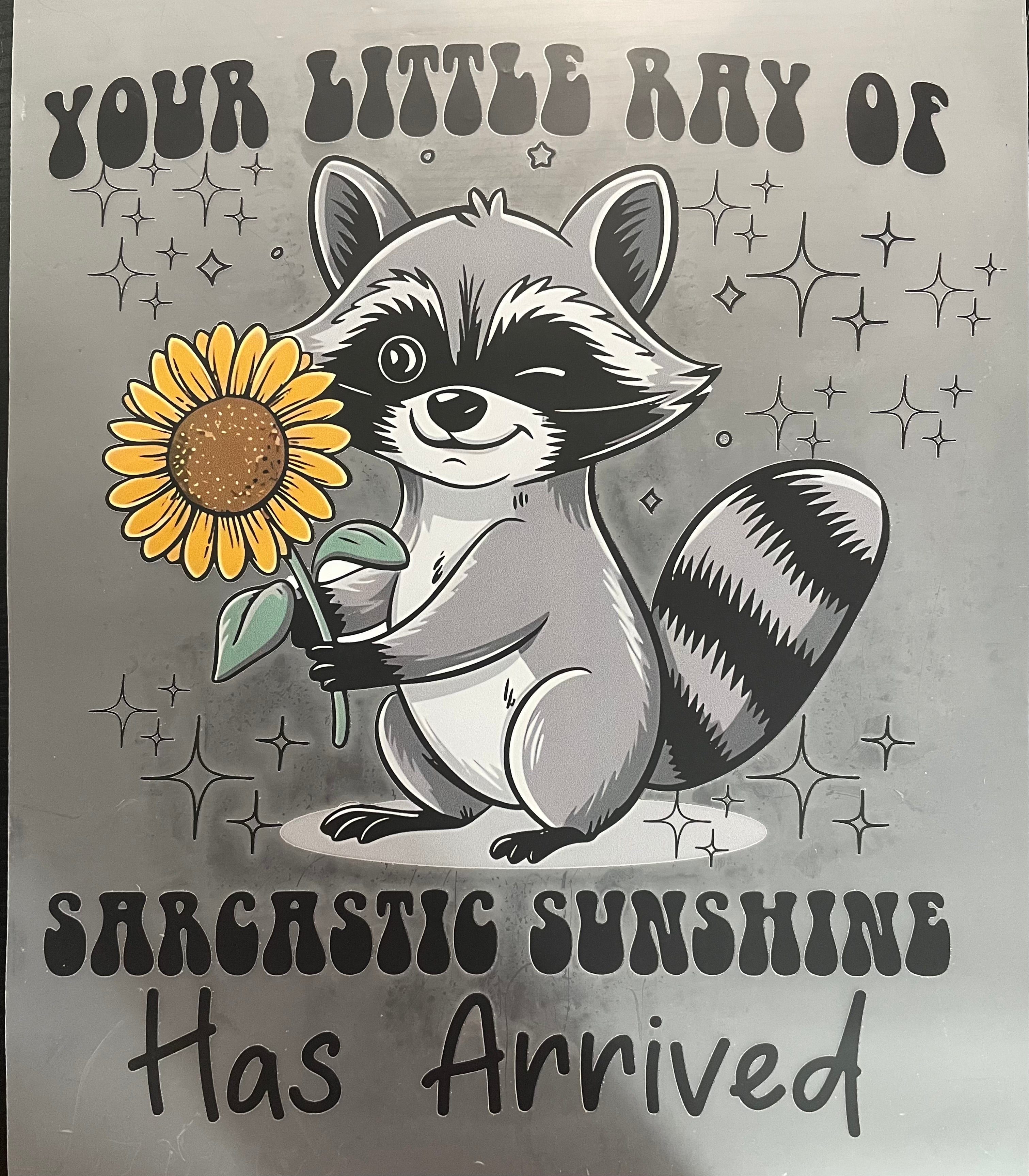 Sarcastic sunshine raccoon