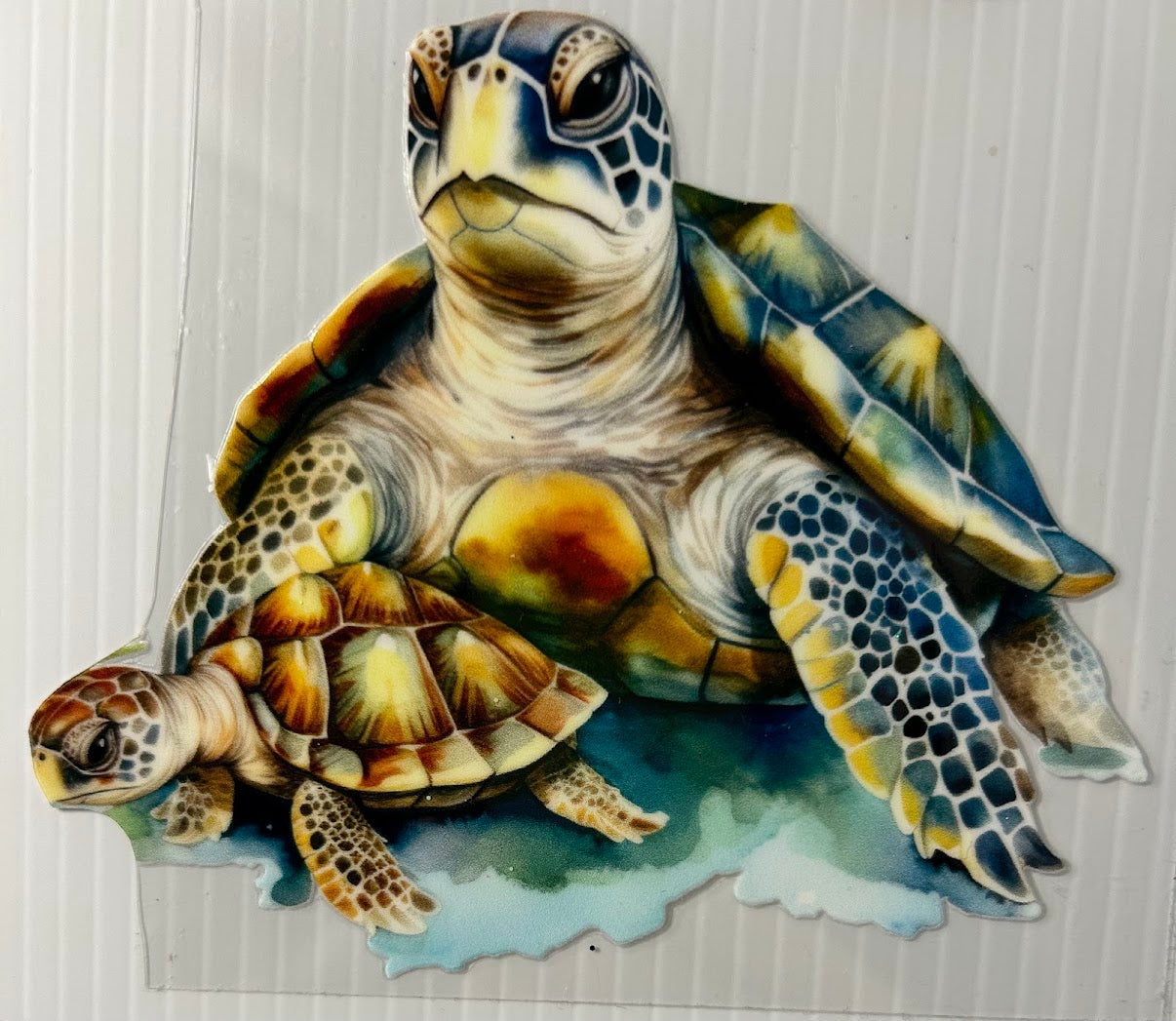 Turtles