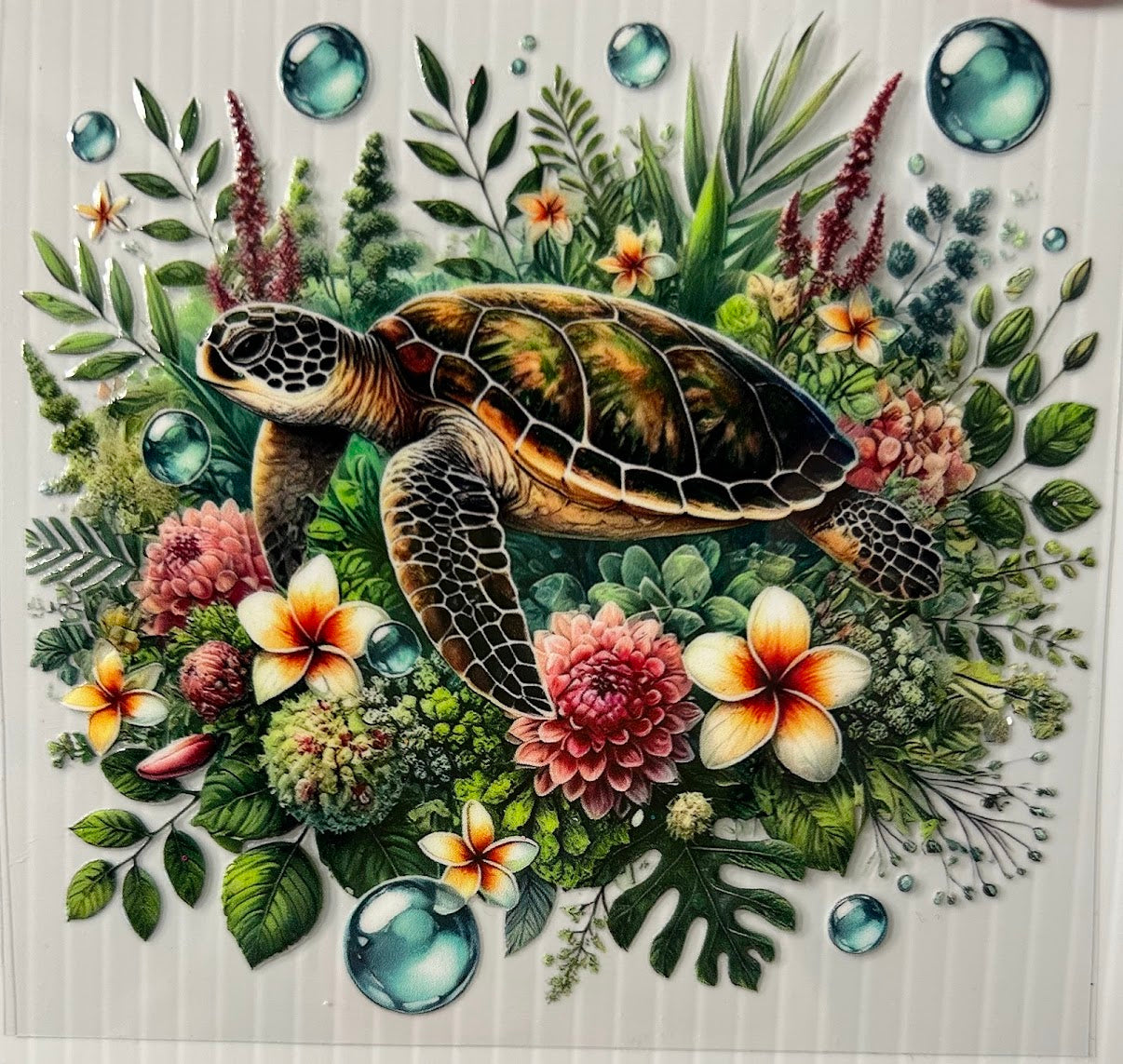 Turtle