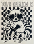 Trash Raccoon