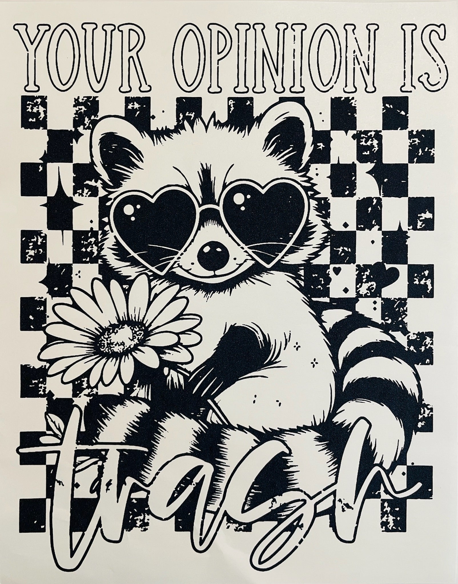 Trash Raccoon