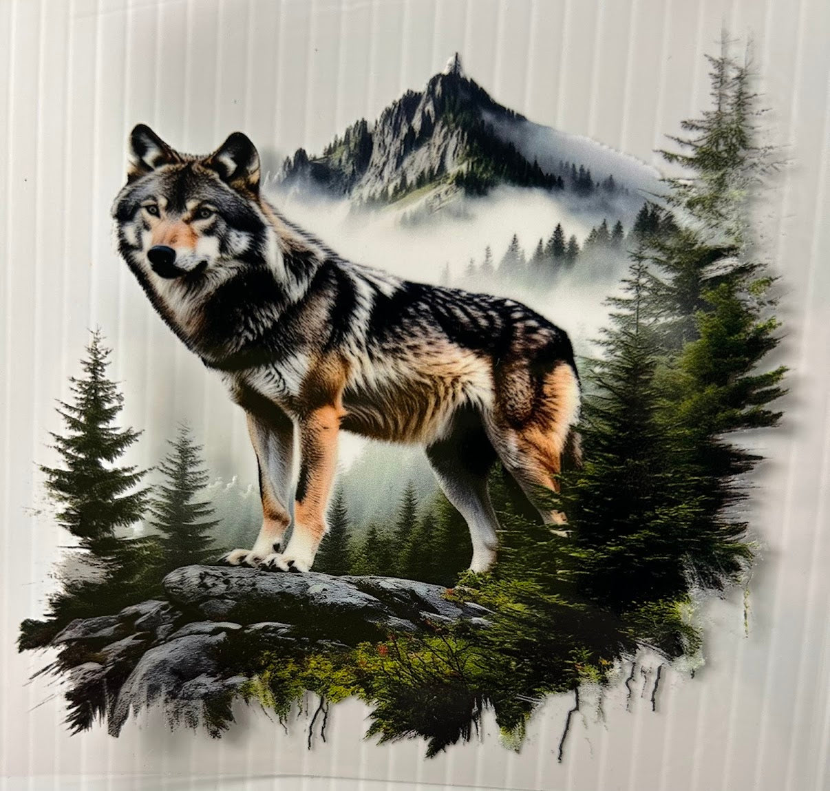 Wolf