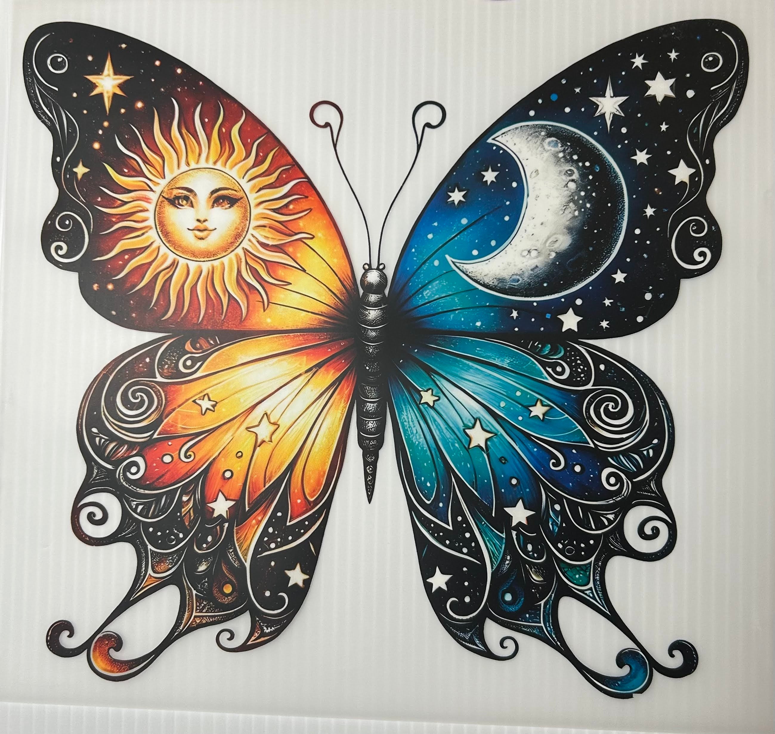 Sun & moon butterfly