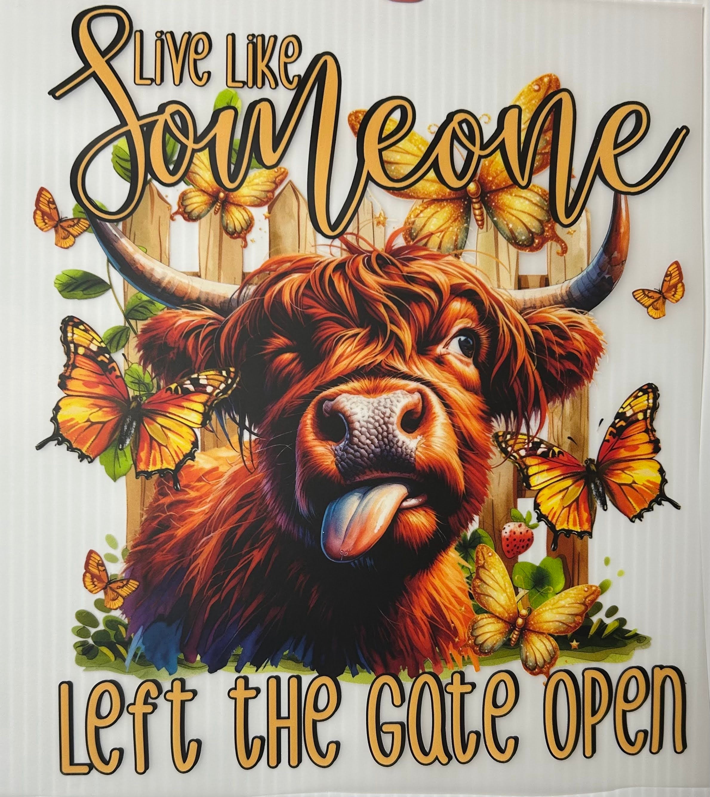 Live like someone left the gate open
