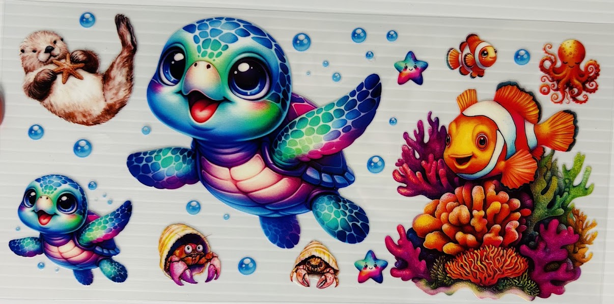 Baby turtle