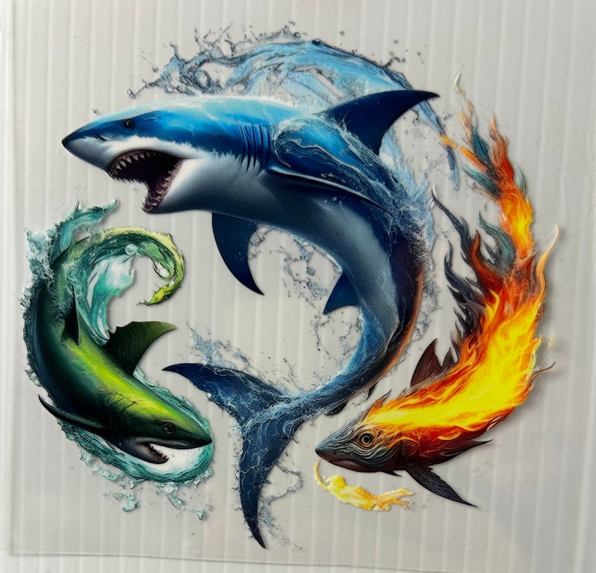 Shark