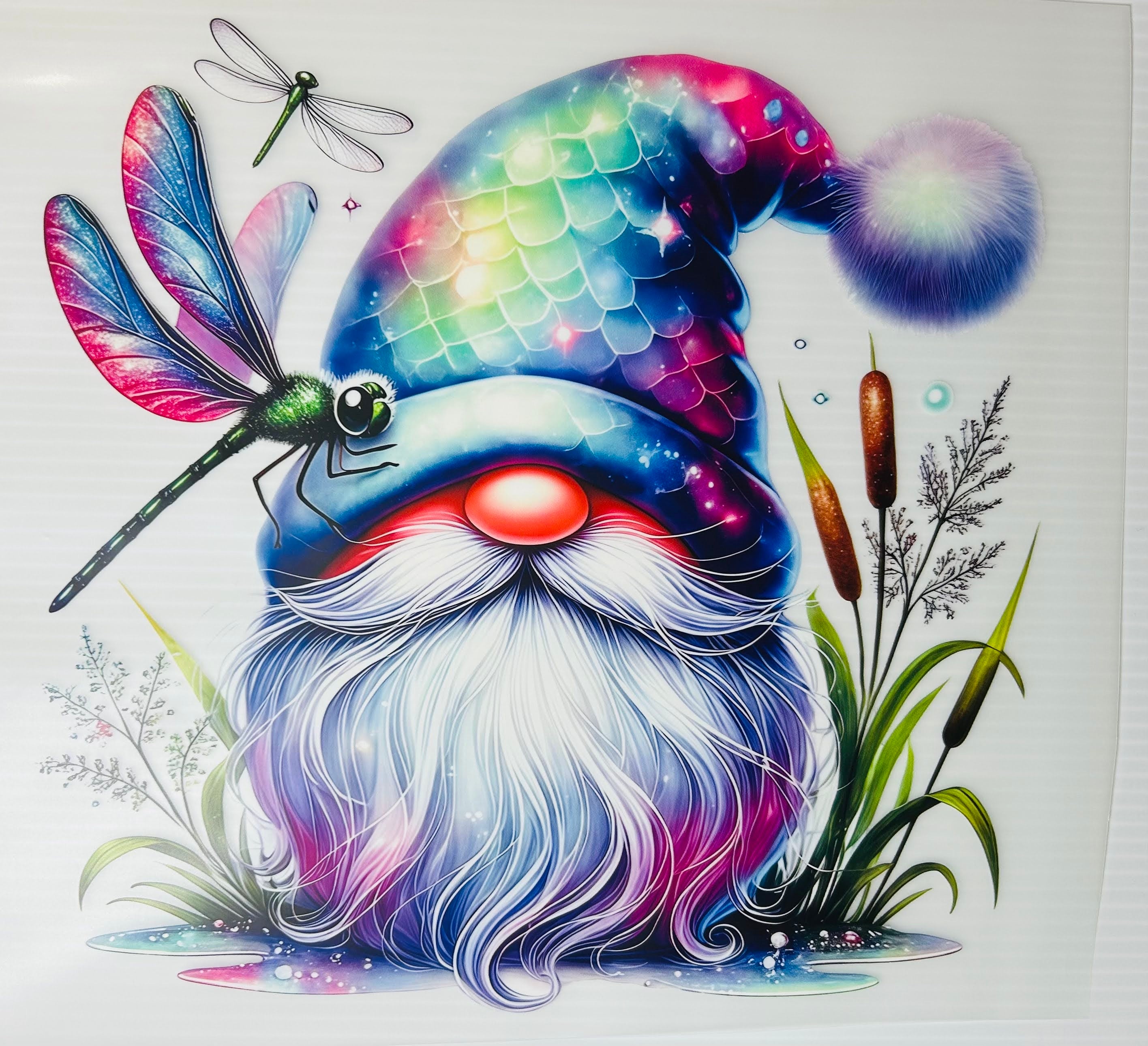Dragonfly gnome