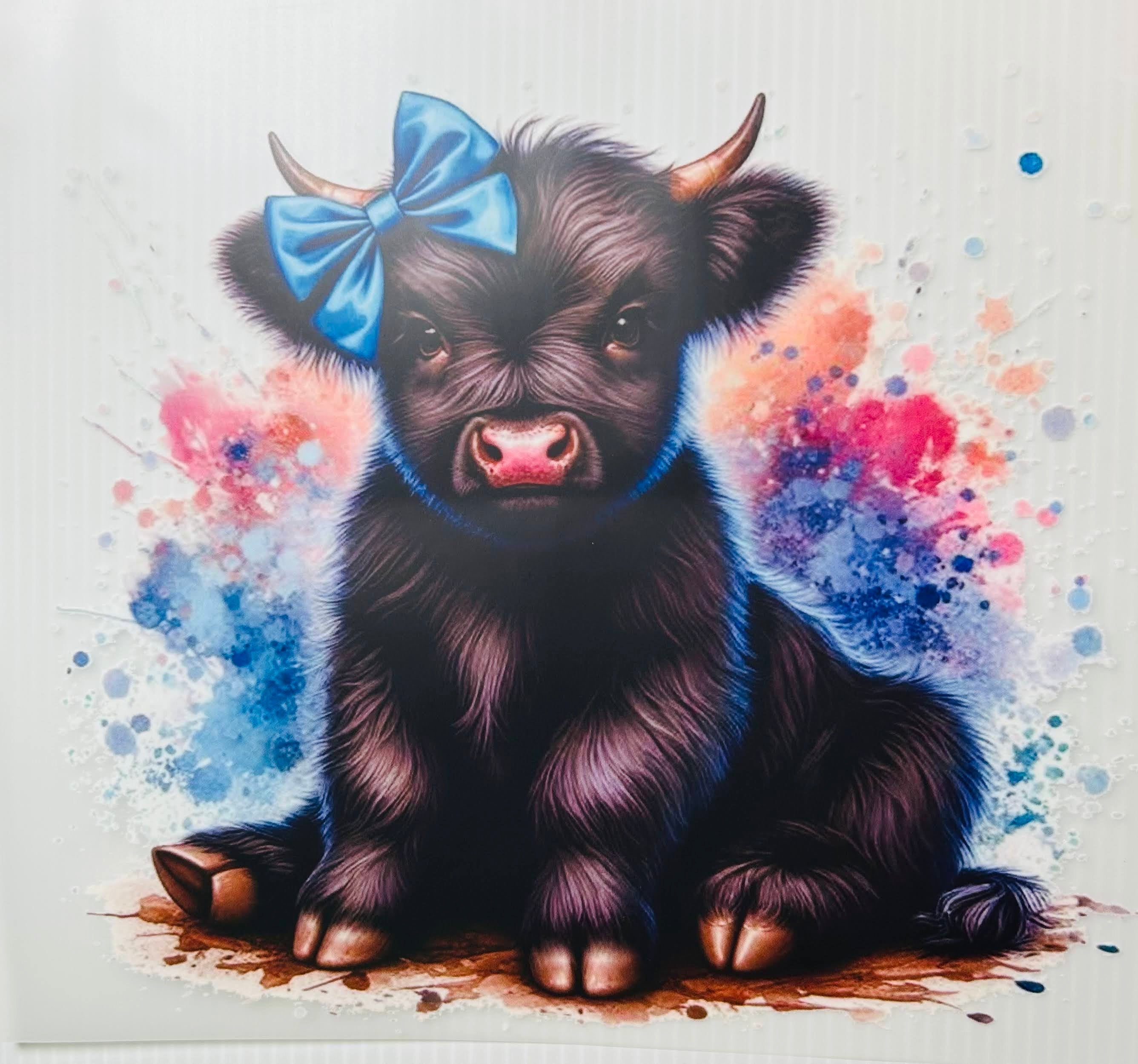 Black cow blue bow