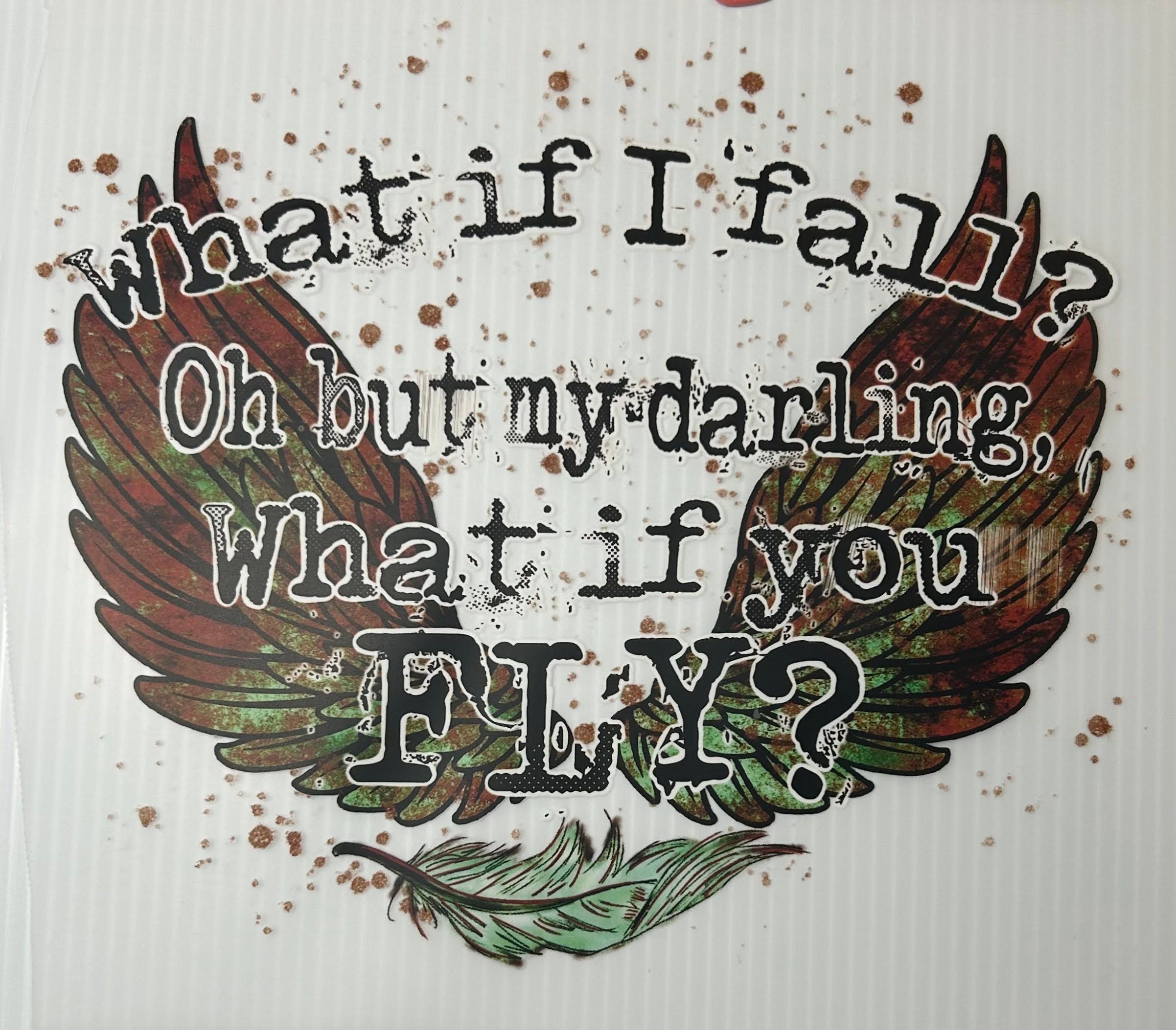 What if I fall? What if you fly?