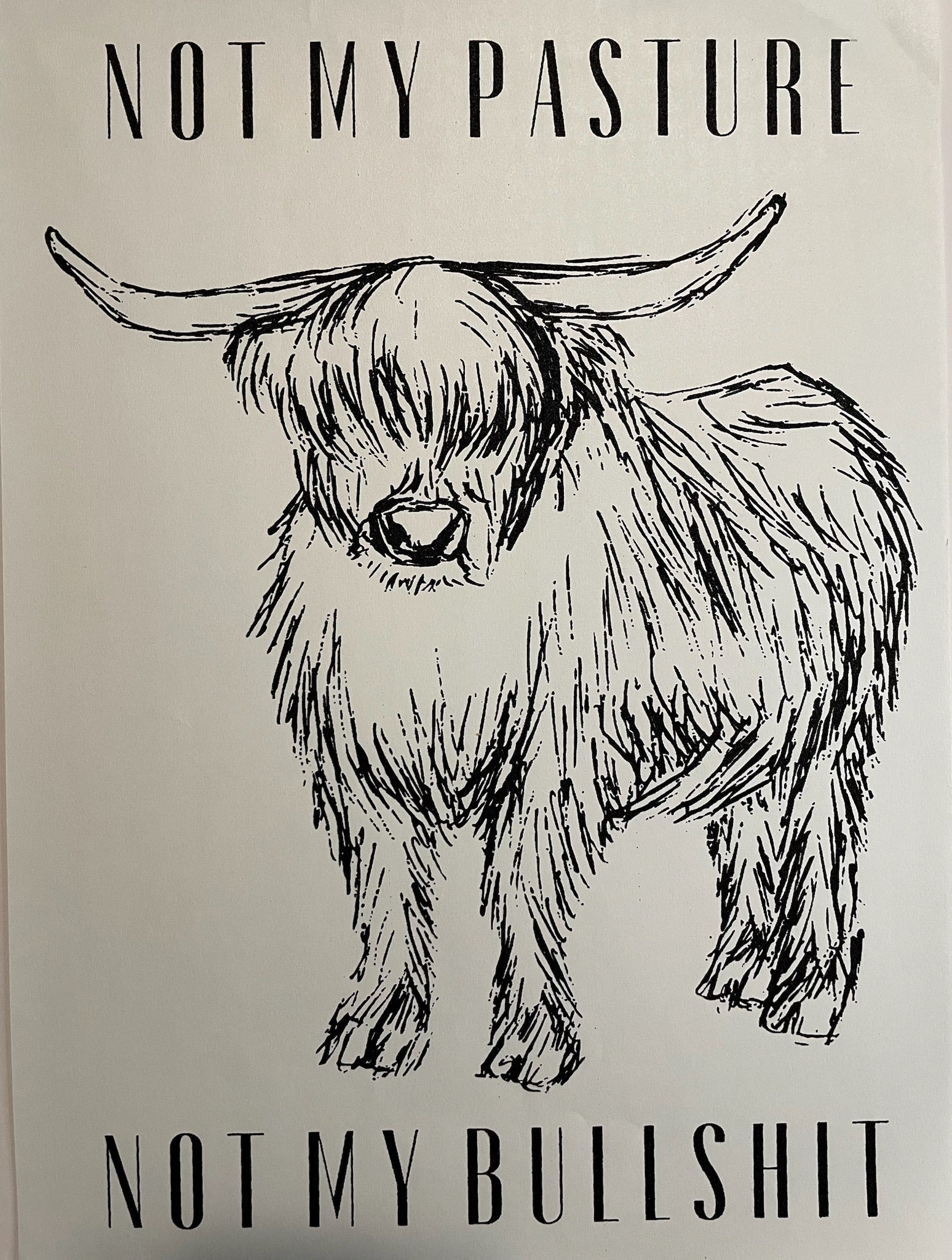 Not My Pasture
