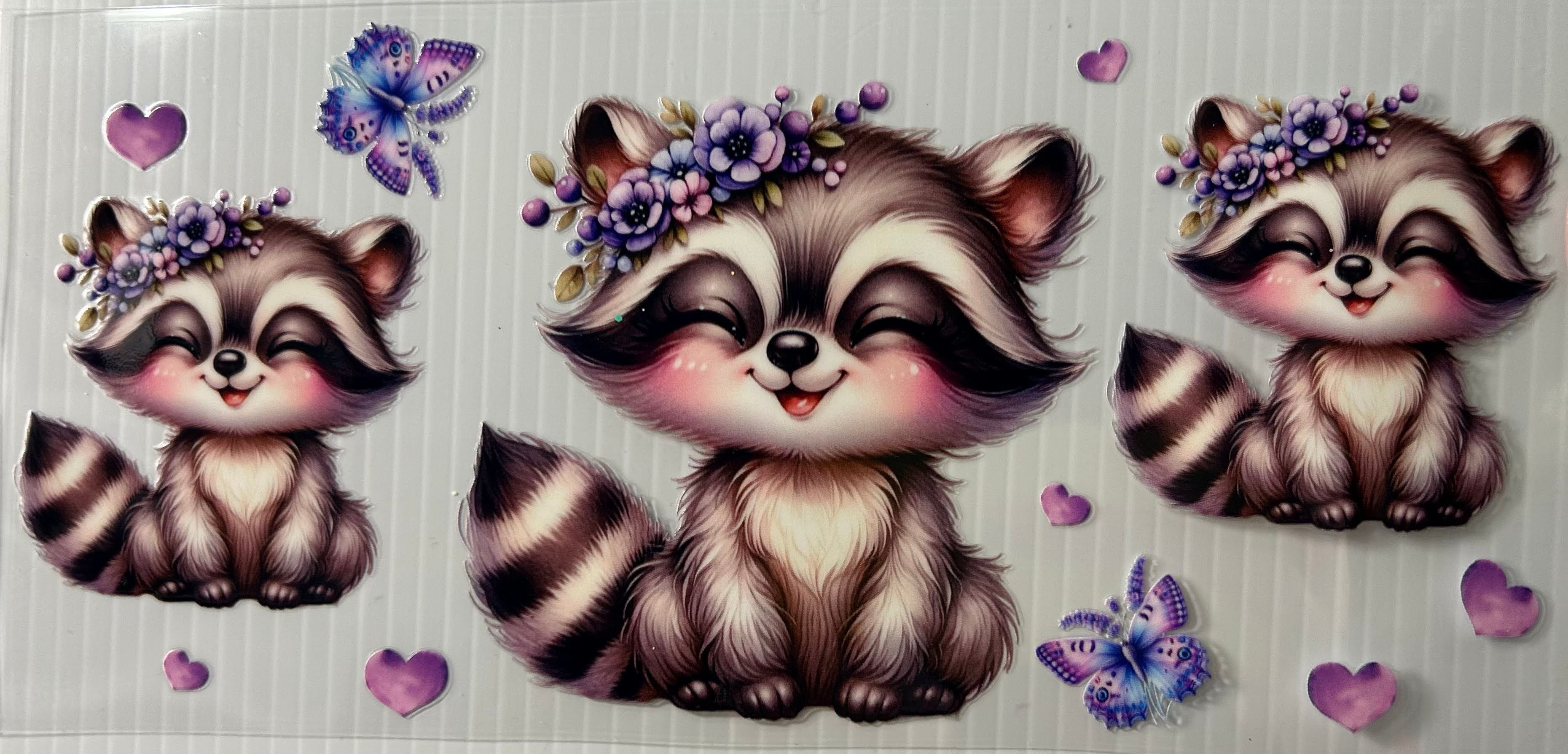 Raccoons