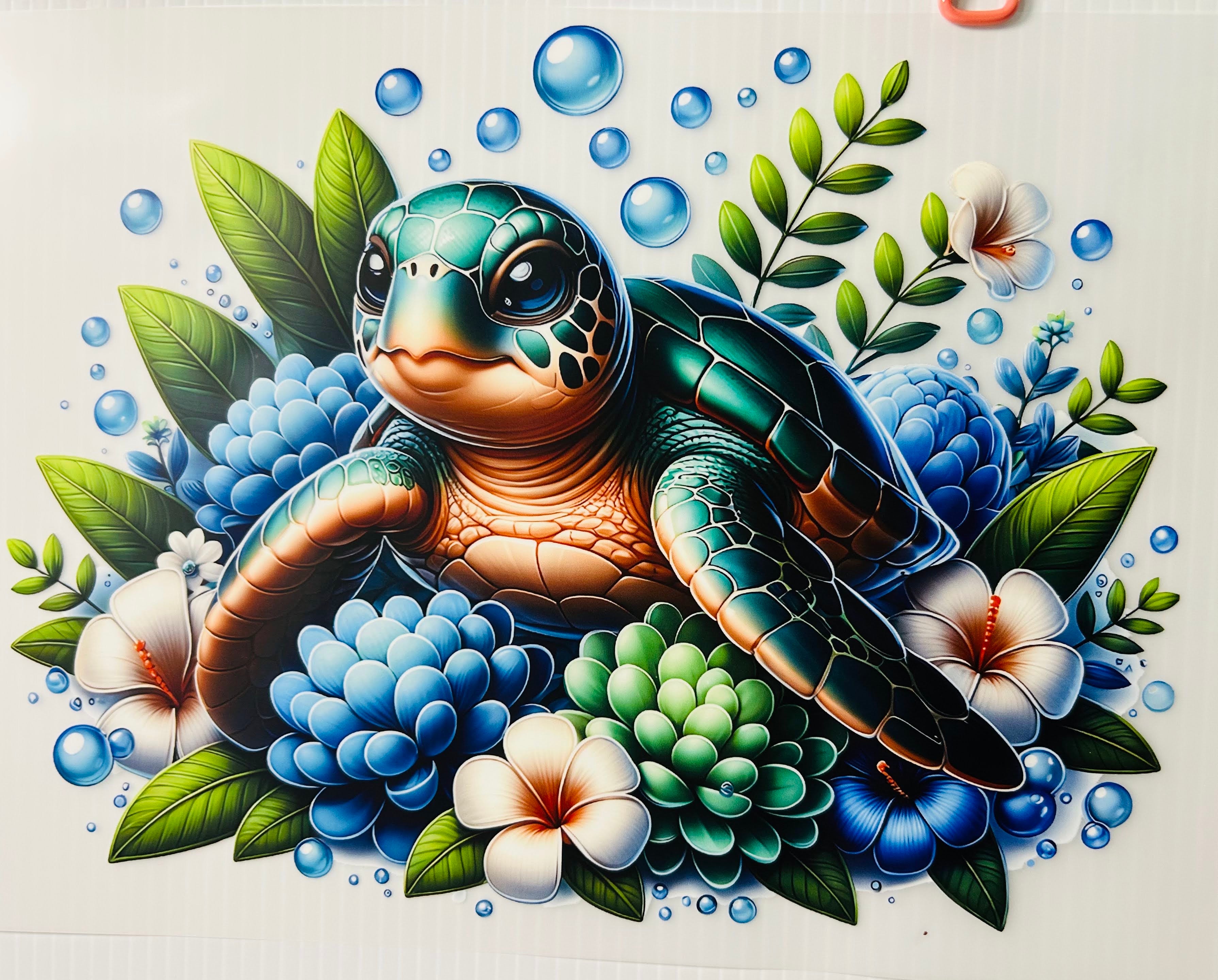 Baby turtle