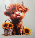 Boo you cute cow