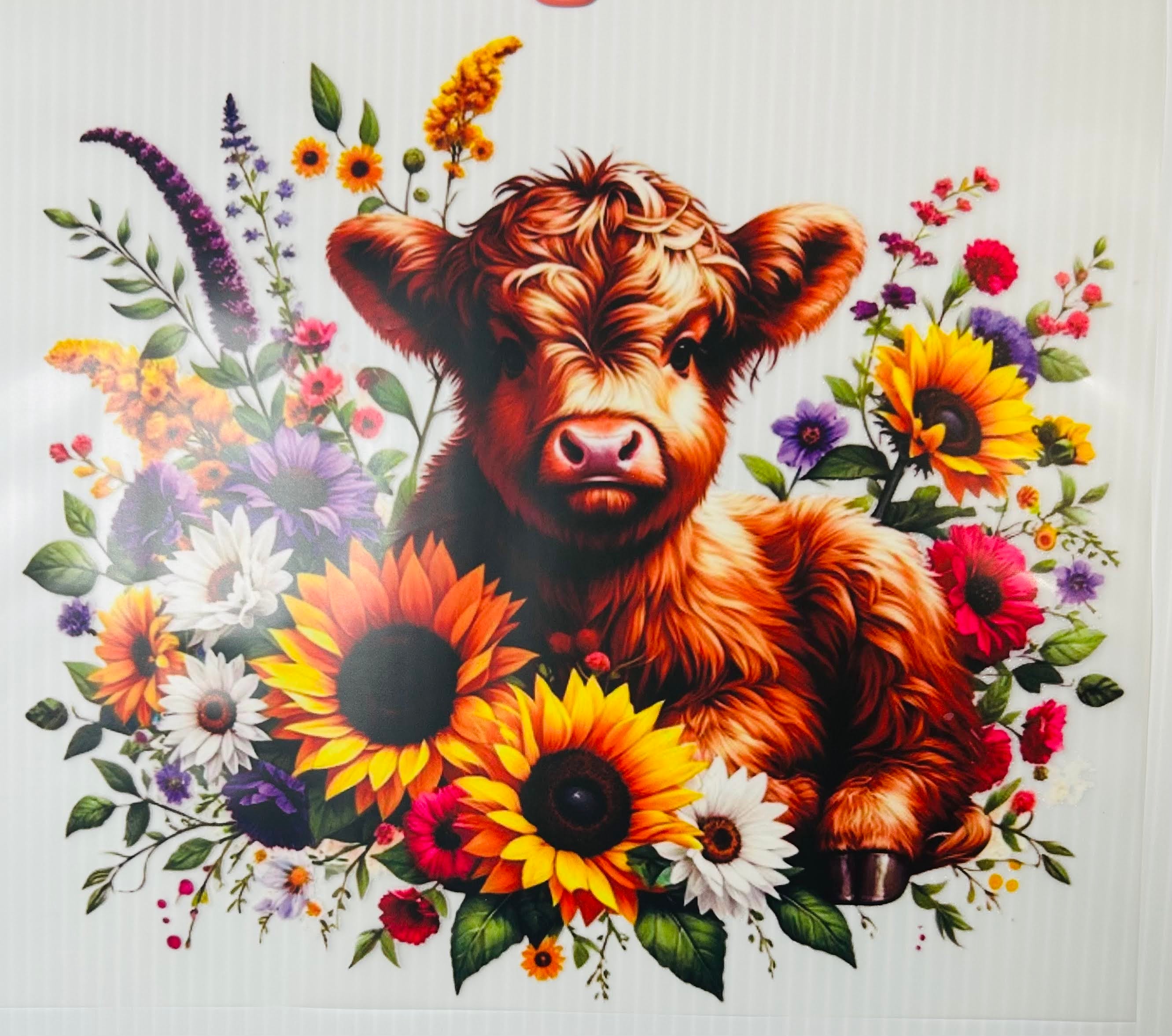 Sunflower cow
