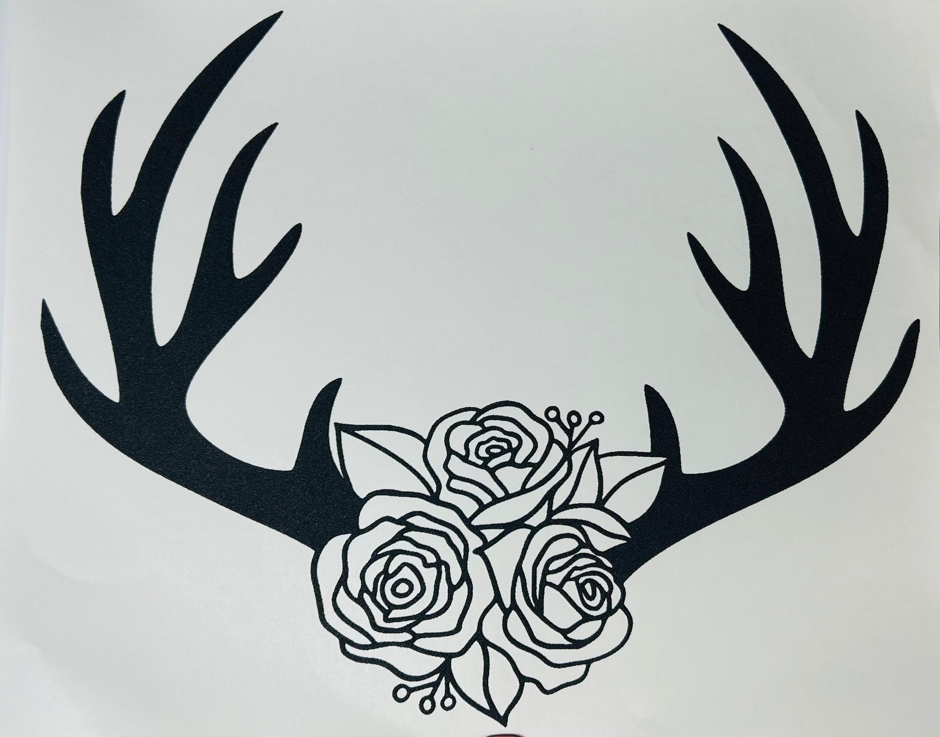 Deer antlers