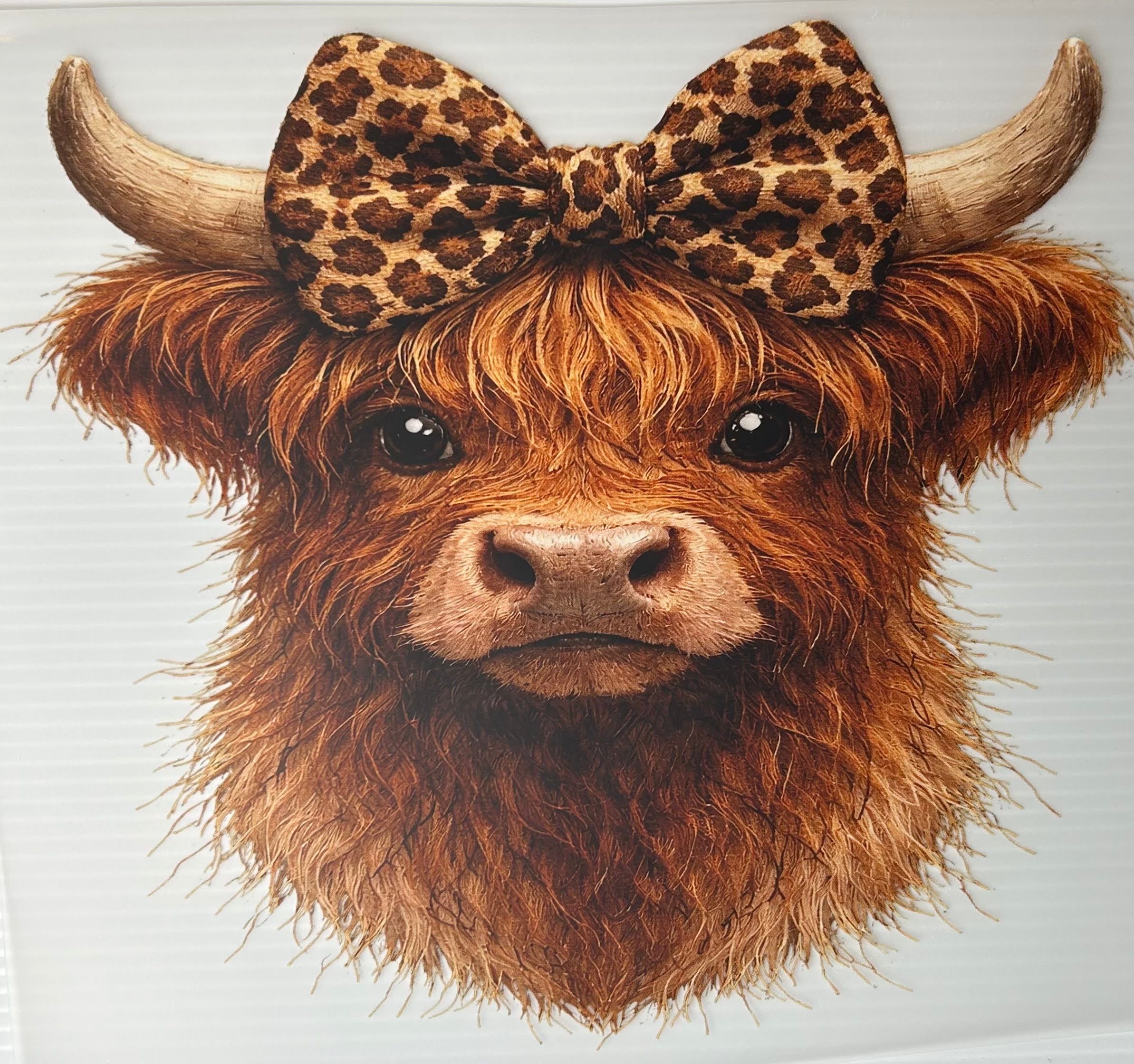 Leopard bow cow