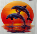 Dolphins