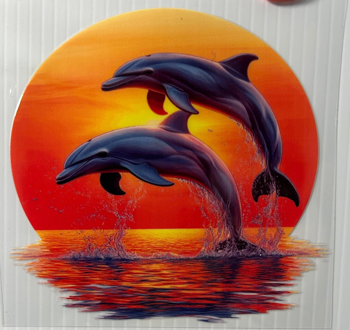 Dolphins